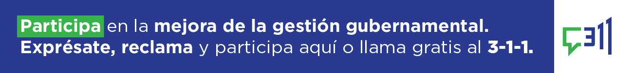 Banner Linea 311