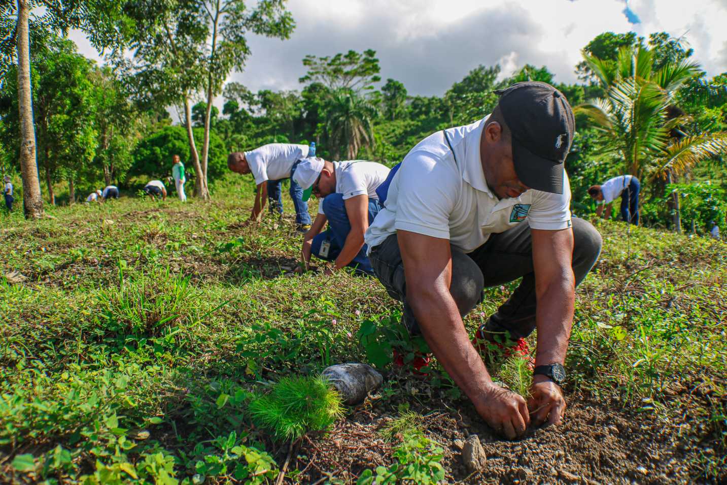 imagen ETED realiza jornada de reforestacion en Villa Altagracia